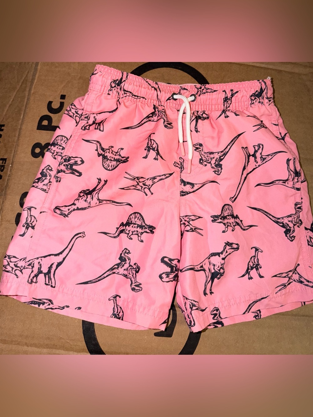 Target Pink Boys' Dinosaur Swim Trunks